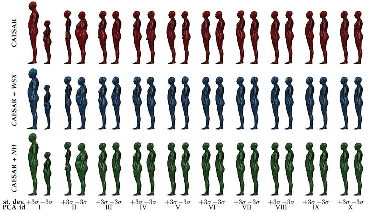 MPII Human Shape 人体模型数据