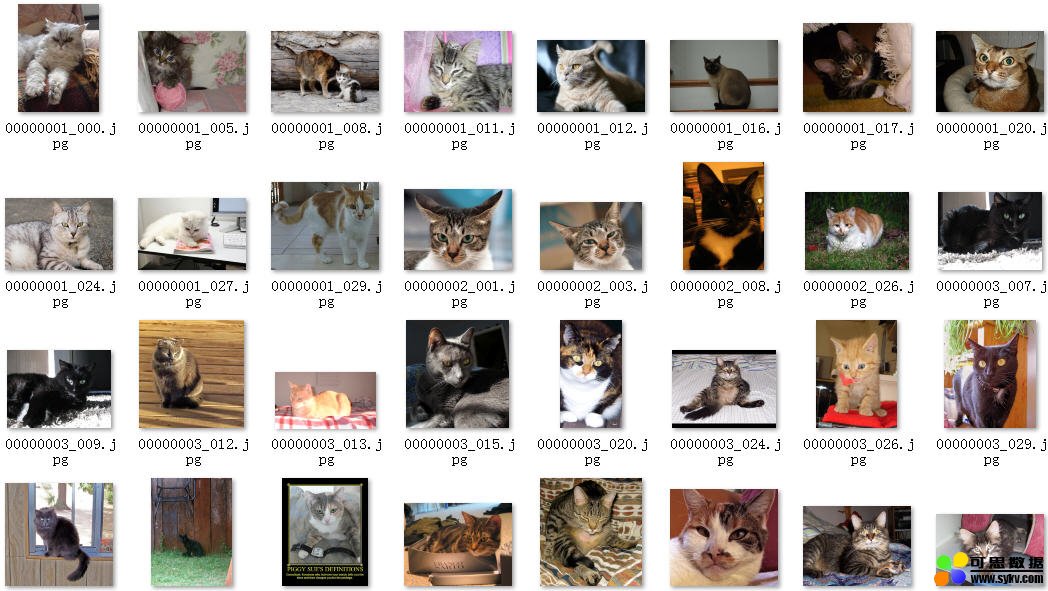著名的猫标注图像数据