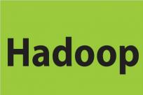 Hadoop3.0: YARN Resource自定义资源配置说明