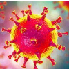新冠病毒A型血更易感，O型血风险较低：首个新冠