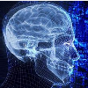 神经科学如何影响人工智能？看DeepMind在NeurIPS2