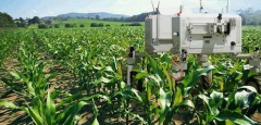 农业自动化又添机器人新军，种植分拣全都能干